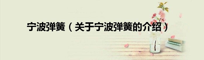 宁波弹簧（关于宁波弹簧的介绍）