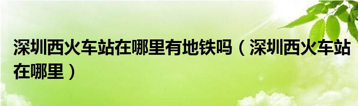 深圳西火车站在哪里有地铁吗（深圳西火车站在哪里）