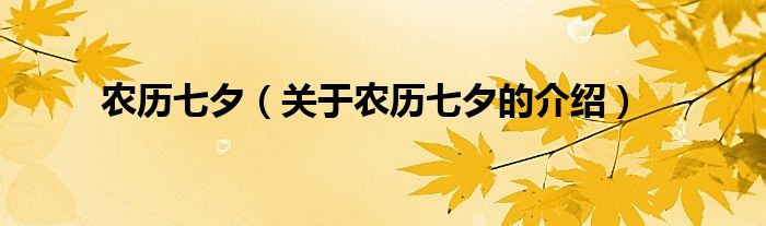 农历七夕（关于农历七夕的介绍）