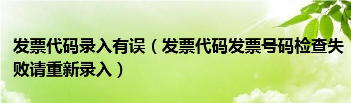 发票代码录入有误（发票代码发票号码检查失败请重新录入）
