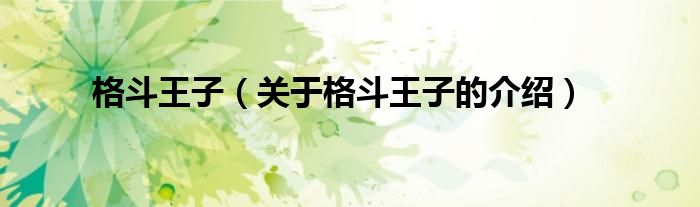 格斗王子（关于格斗王子的介绍）
