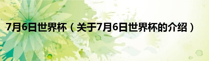 7月6日世界杯（关于7月6日世界杯的介绍）