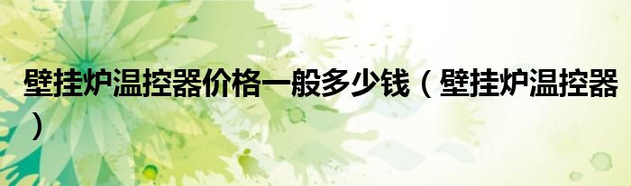 壁挂炉温控器价格一般多少钱（壁挂炉温控器）