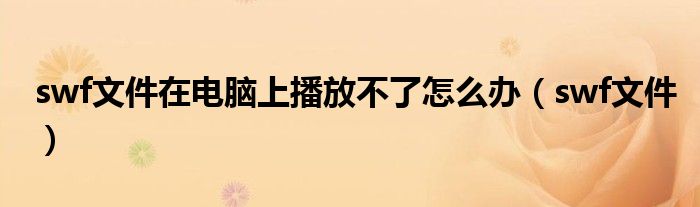 swf文件在电脑上播放不了怎么办（swf文件）