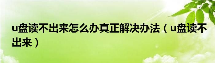 u盘读不出来怎么办真正解决办法（u盘读不出来）