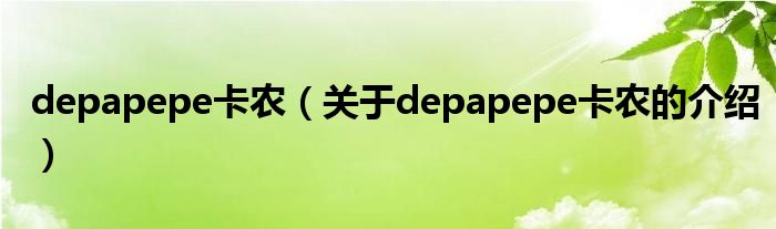 depapepe卡农（关于depapepe卡农的介绍）