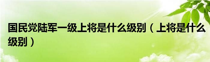 国民党陆军一级上将是什么级别（上将是什么级别）