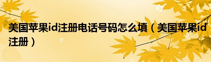 美国苹果id注册电话号码怎么填（美国苹果id注册）