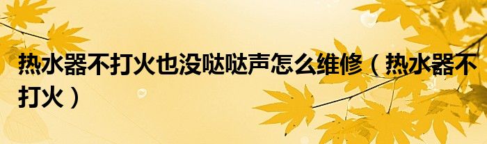 热水器不打火也没哒哒声怎么维修（热水器不打火）
