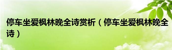 停车坐爱枫林晚全诗赏析（停车坐爱枫林晚全诗）