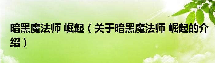 暗黑魔法师 崛起（关于暗黑魔法师 崛起的介绍）