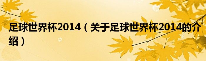 足球世界杯2014（关于足球世界杯2014的介绍）