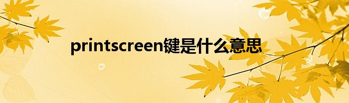 printscreen键是什么意思