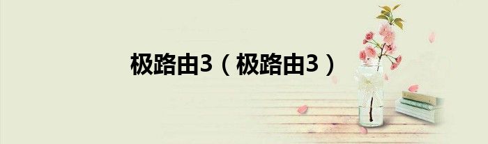 极路由3（极路由3）