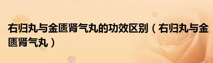右归丸与金匮肾气丸的功效区别（右归丸与金匮肾气丸）