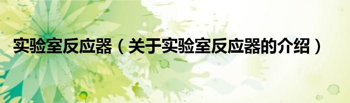 实验室反应器（关于实验室反应器的介绍）