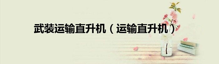 武装运输直升机（运输直升机）