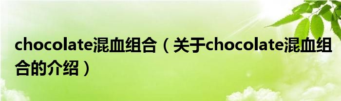 chocolate混血组合（关于chocolate混血组合的介绍）