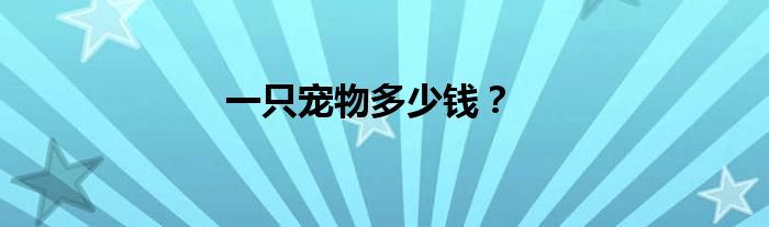 一只宠物多少钱？