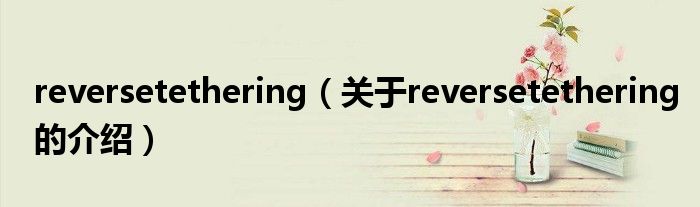 reversetethering（关于reversetethering的介绍）