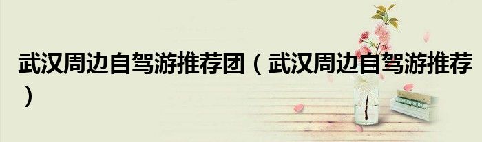 武汉周边自驾游推荐团（武汉周边自驾游推荐）