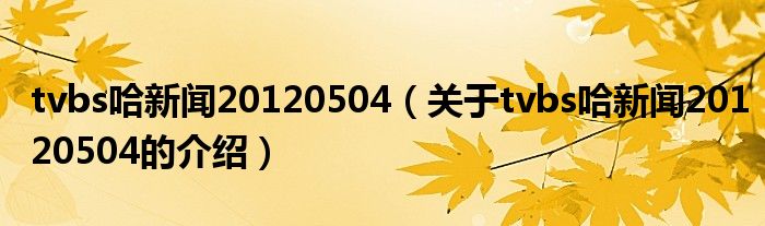 tvbs哈新闻20120504（关于tvbs哈新闻20120504的介绍）