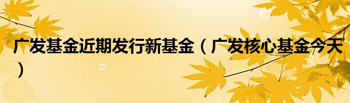 广发基金近期发行新基金（广发核心基金今天）