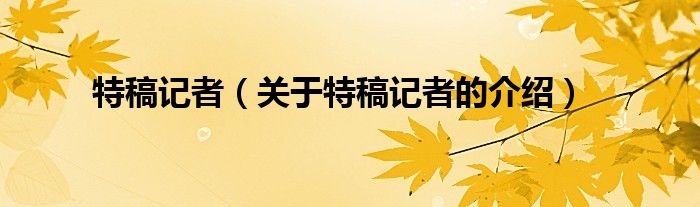 特稿记者（关于特稿记者的介绍）