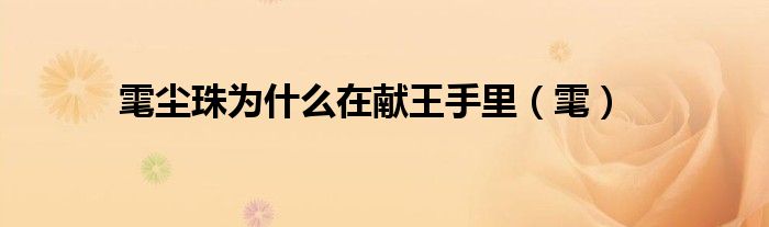 雮尘珠为什么在献王手里（雮）