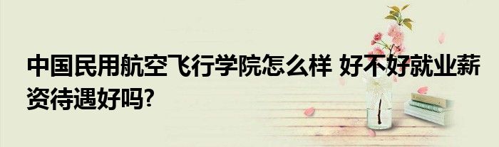 中国民用航空飞行学院怎么样 好不好就业薪资待遇好吗?