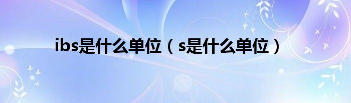 ibs是什么单位（s是什么单位）