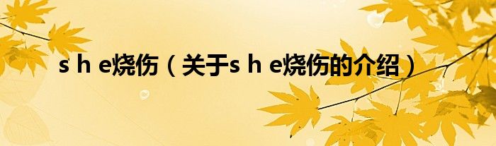 s h e烧伤（关于s h e烧伤的介绍）
