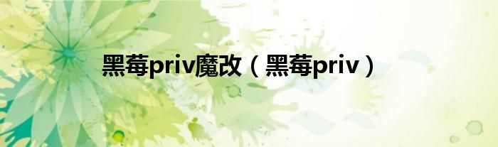 黑莓priv魔改（黑莓priv）