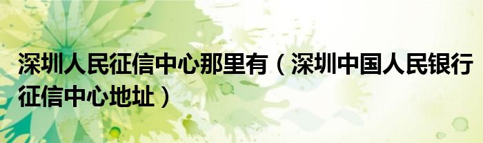 深圳人民征信中心那里有（深圳中国人民银行征信中心地址）
