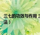 三七的功效与作用 三七居然有这样的吃法（三七的功效与吃法）