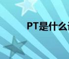 PT是什么设备（ptn设备是什么）