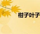柑子叶子的功效与作用（柑子）