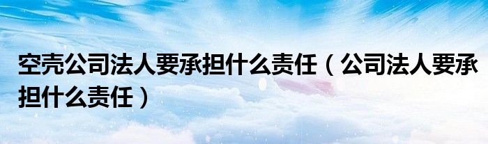 空壳公司法人要承担什么责任（公司法人要承担什么责任）