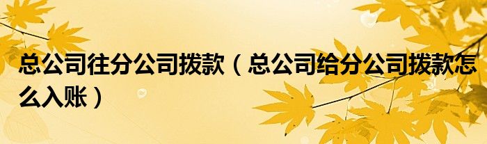 总公司往分公司拨款（总公司给分公司拨款怎么入账）