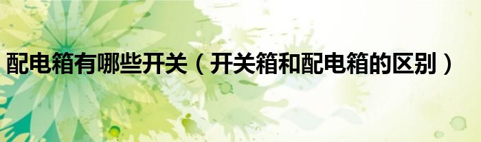 配电箱有哪些开关（开关箱和配电箱的区别）