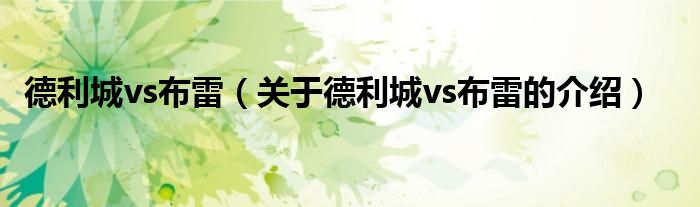 德利城vs布雷（关于德利城vs布雷的介绍）