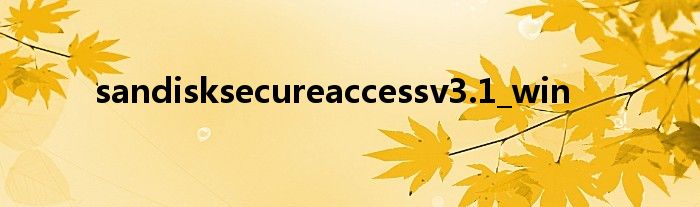 sandisksecureaccessv3.1_win