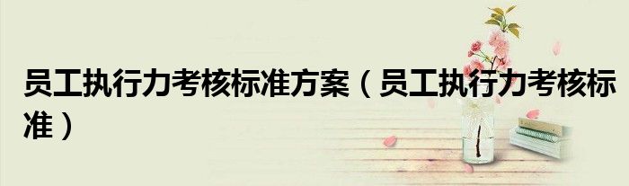 员工执行力考核标准方案（员工执行力考核标准）
