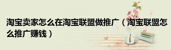 淘宝卖家怎么在淘宝联盟做推广（淘宝联盟怎么推广赚钱）