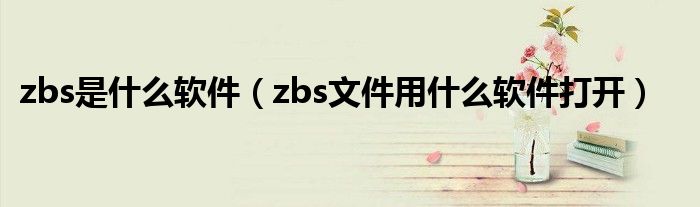 zbs是什么软件（zbs文件用什么软件打开）