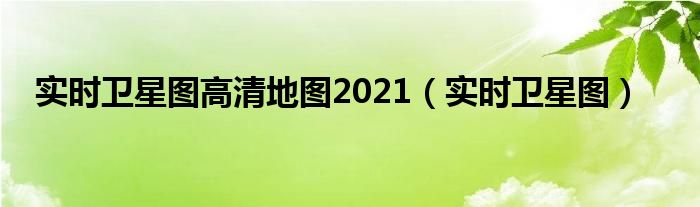 实时卫星图高清地图2021（实时卫星图）