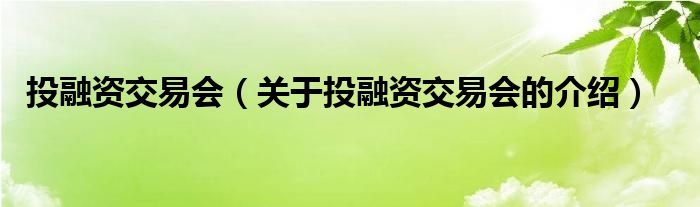 投融资交易会（关于投融资交易会的介绍）