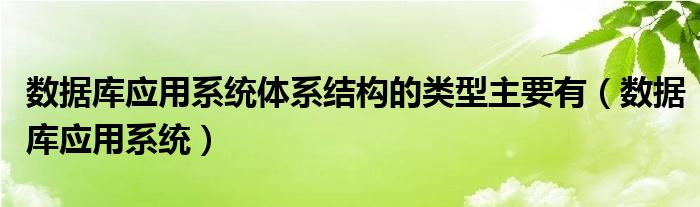 数据库应用系统体系结构的类型主要有（数据库应用系统）