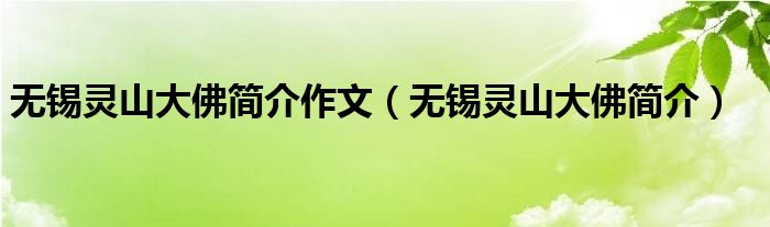 无锡灵山大佛简介作文（无锡灵山大佛简介）