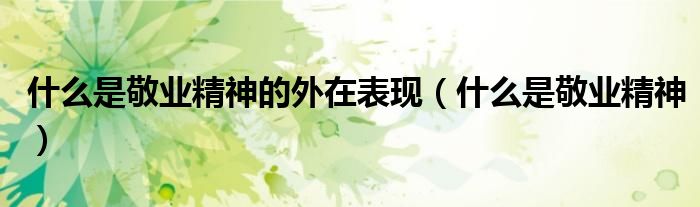 什么是敬业精神的外在表现（什么是敬业精神）